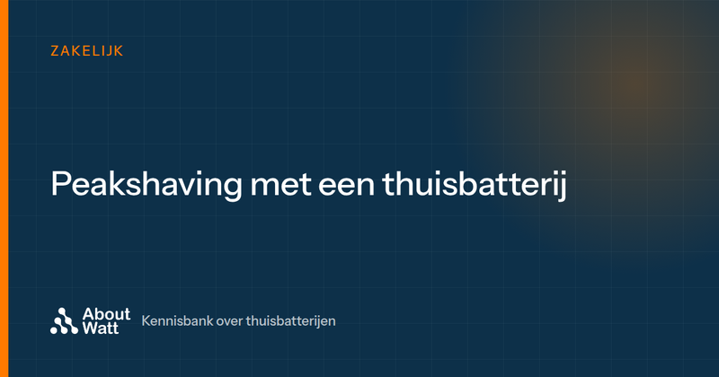 Peakshaving: wat is het en hoe helpt een batterij om piekverbruik te verlagen?